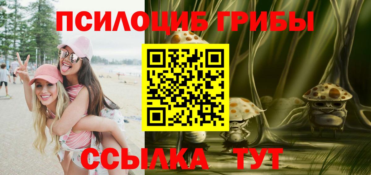 Галлюциногенные грибы мицелий  магазин    Россошь  Псилоцибиновые грибы GOLDEN TEACHER  Вход с VPN 
