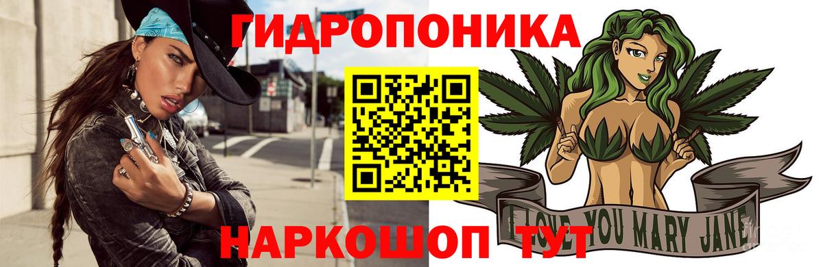 Конопля план Россошь